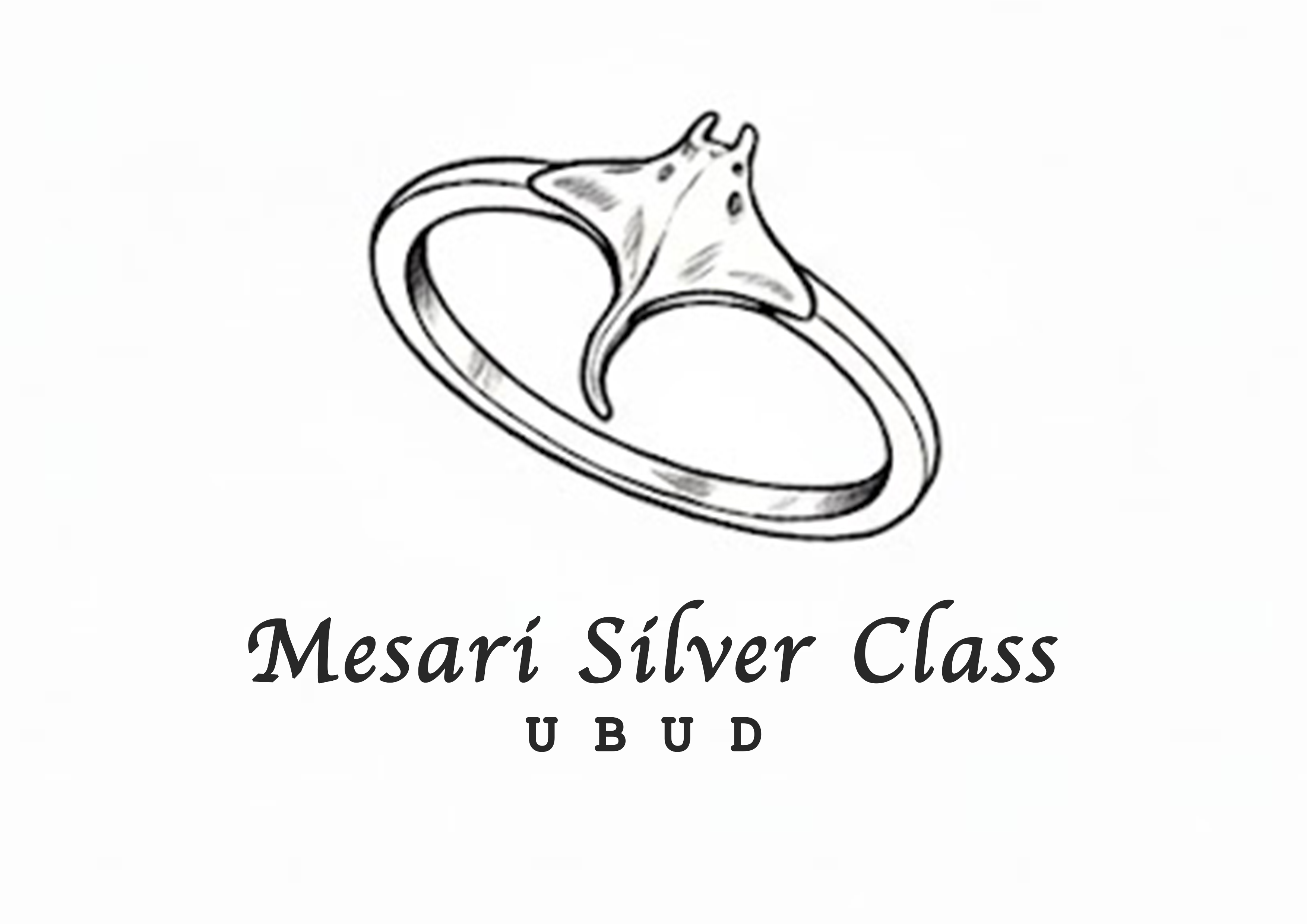 Logo mesari